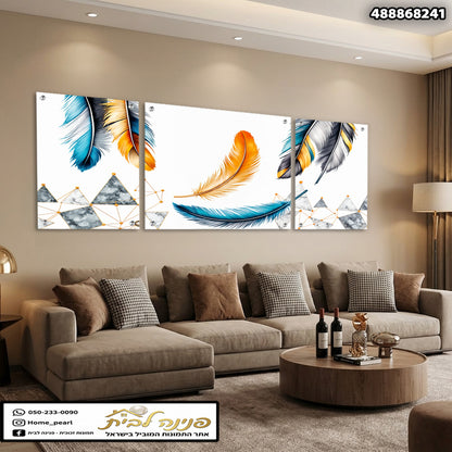 סט תמונות קיר עם נוצות צבעוניות בעיצוב מופשט לסלון - תמונות קיר