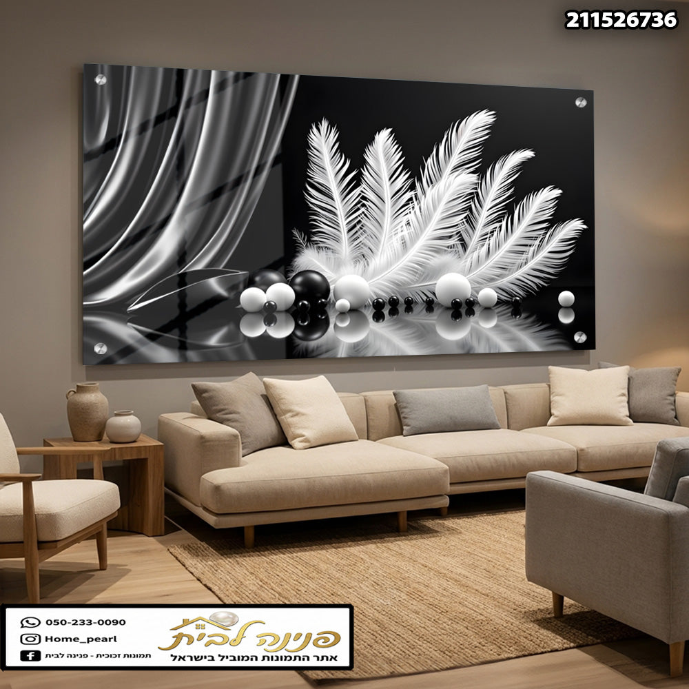 תמונה בשחור ולבן של זרי נוצות וכדורים - תמונות קיר - שחור ולבן