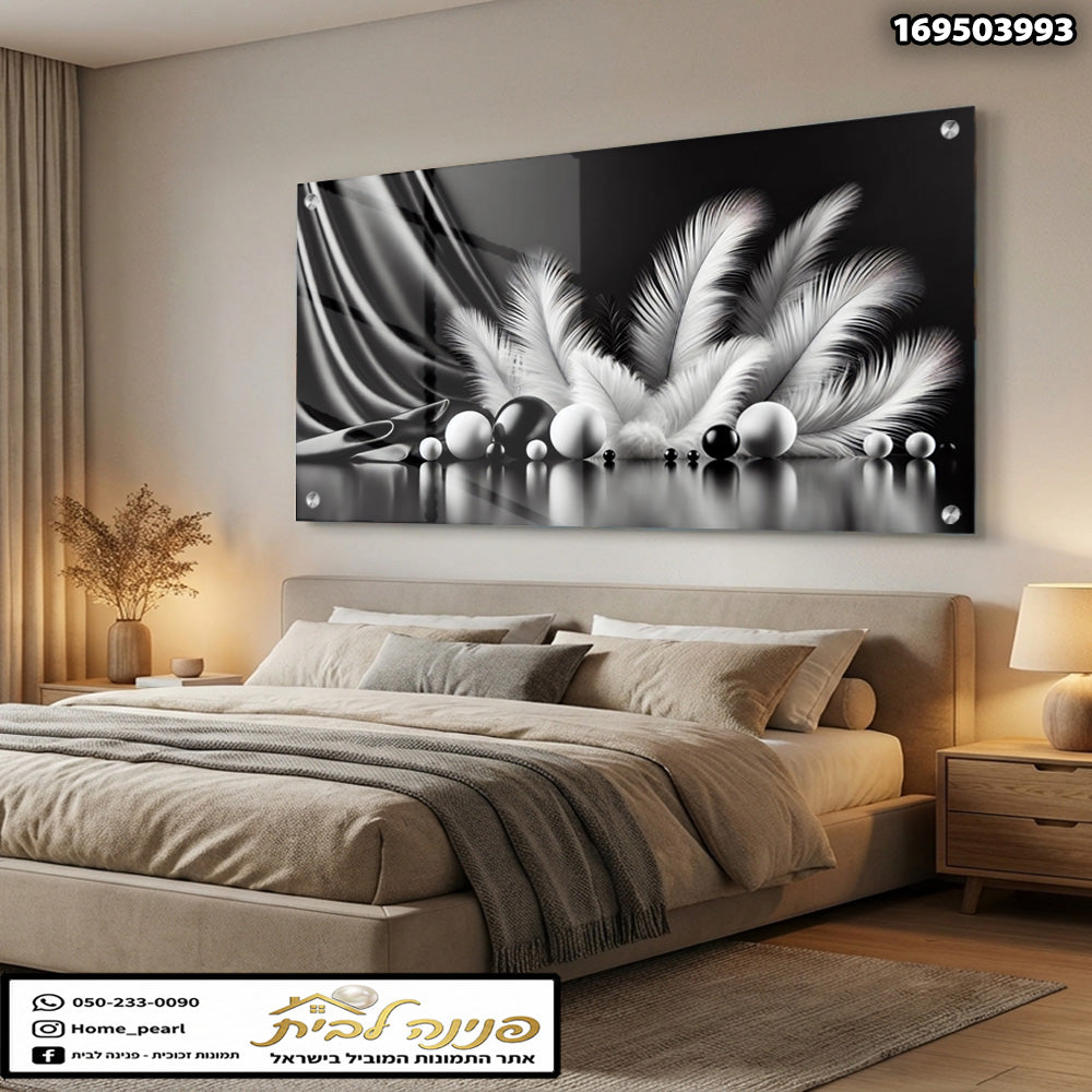 תמונות זכוכית - קומפוזיציית נוצות לבנות וכדורים מבריקים בשחור־לבן תמונות זכוכית לסלון תמונות לבית תמונות קיר הדפסה על זכוכית