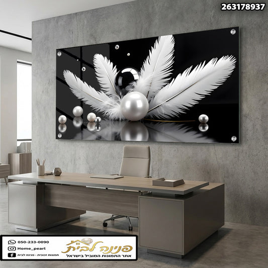 תמונה של אומנות דקורטיבית עם נוצות ופנינים - תמונות זכוכית - שחור ולבן