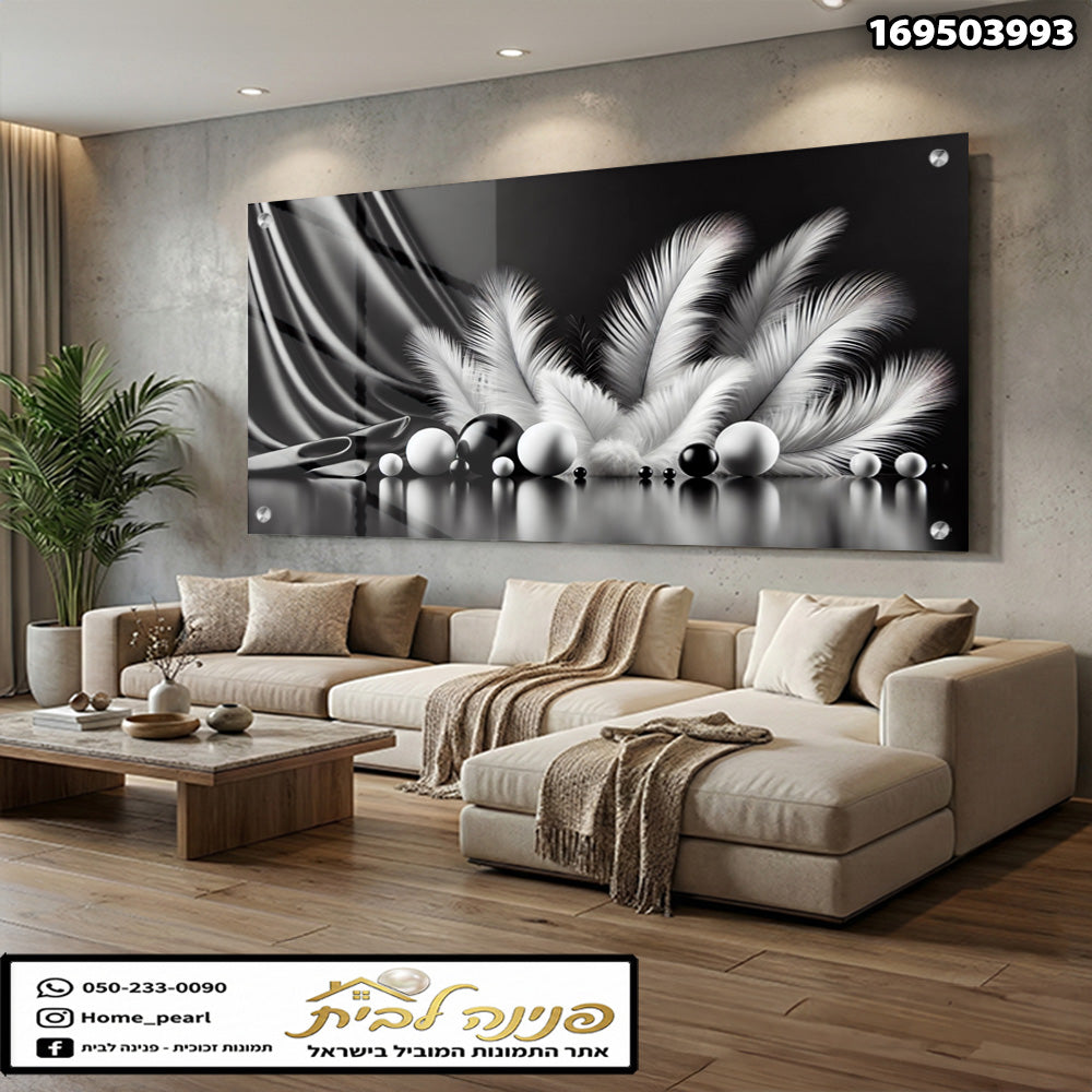 תמונה מעוצבת של כדורים ונוצות על קיר - תמונות לקיר - צבעים שחור ולבן