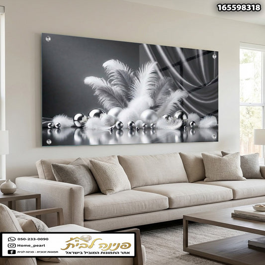 תמונה של נוצות דקורטיביות על קיר - תמונות לבית - צבעים בשחור ולבן וכסף