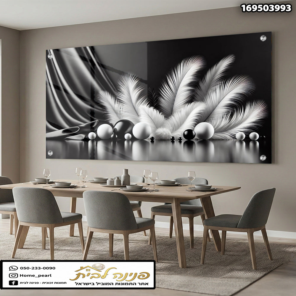 תמונות זכוכית - קומפוזיציית נוצות לבנות וכדורים מבריקים בשחור־לבן תמונות זכוכית לסלון תמונות לבית תמונות קיר הדפסה על זכוכית