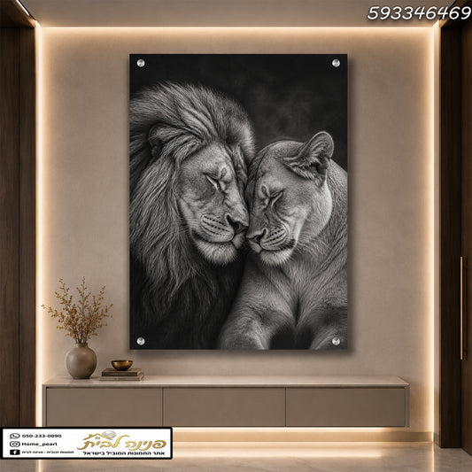 תמונה של זוג lions מחובקים על קיר - תמונות קיר - שחור ולבן