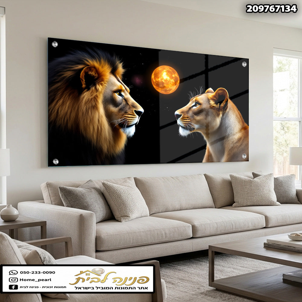 תמונה של זוג lions - תמונות קיר - צבעים כהים ואורנג'