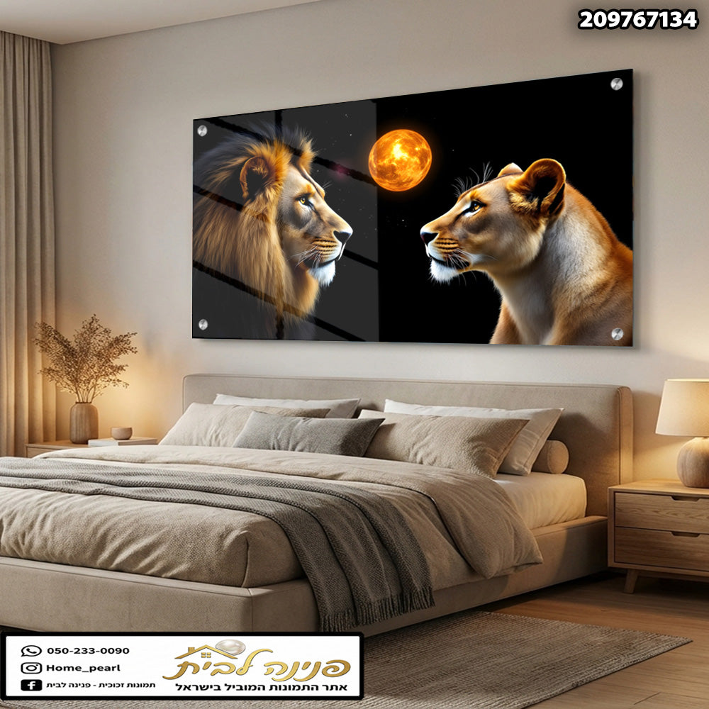 תמונה של שתי Lions על רקע כהה - תמונות נוי - שחור וזהב וחום ולבן