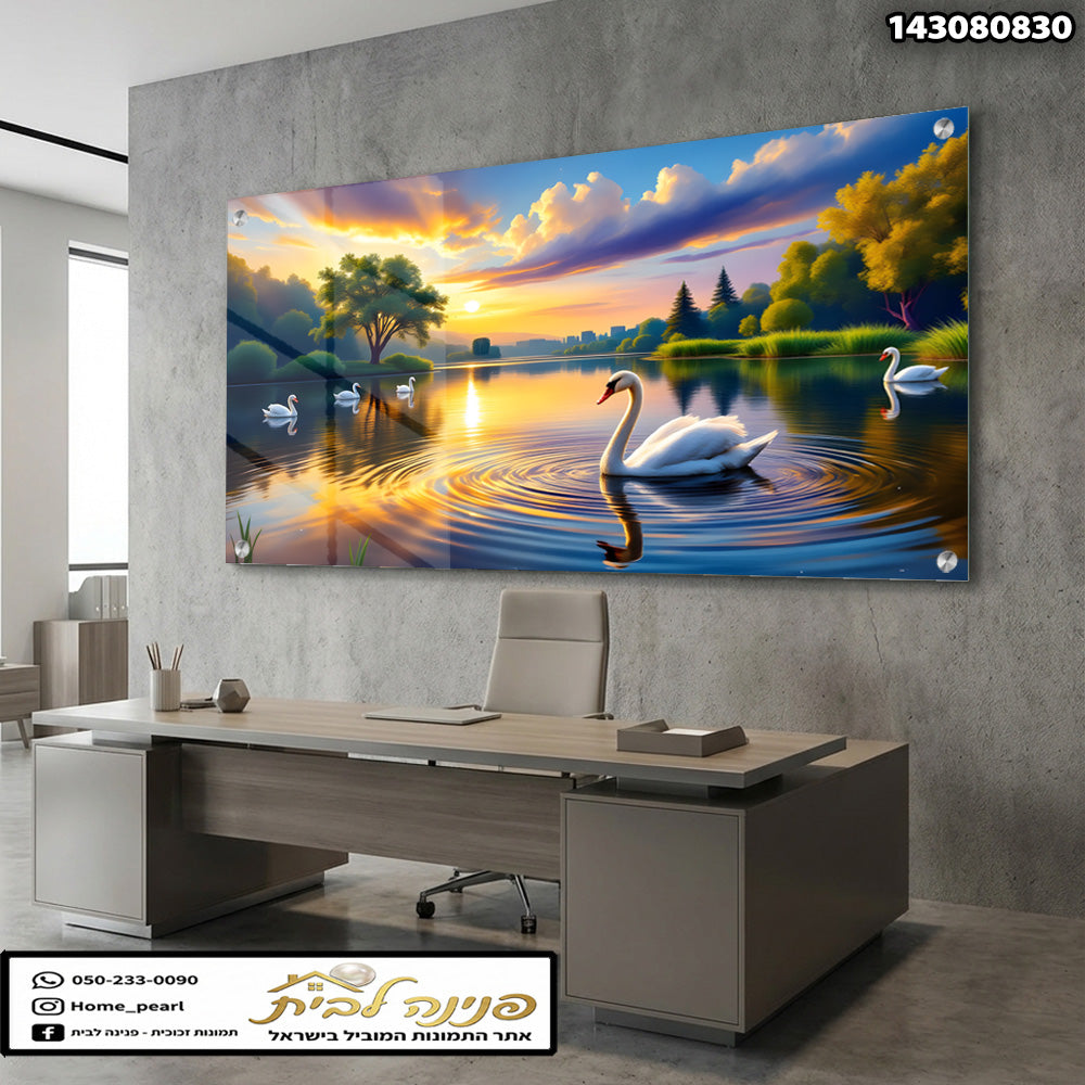 תמונה של ברווזים בלייק - תמונות נוי - כחול, אורנג' וירוק