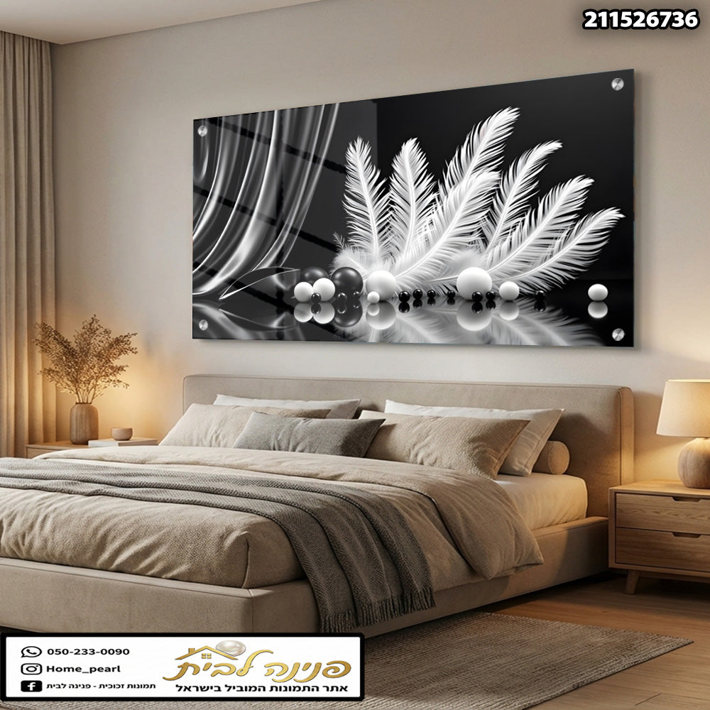 תמונה של קיר עם זרי נוצות שחורים ולבנים - תמונות קיר - צבעים שחור ולבן