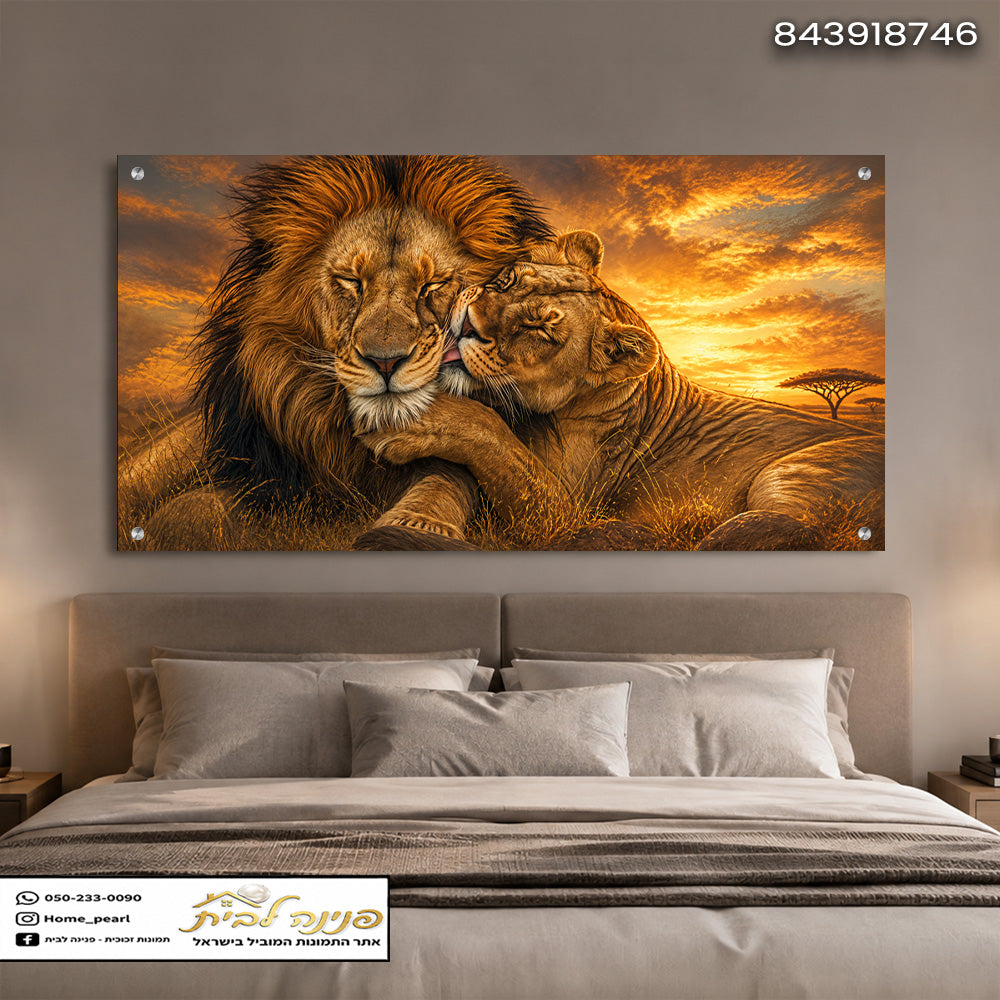 זוג Lions בחמלה במיקום נעים בבית